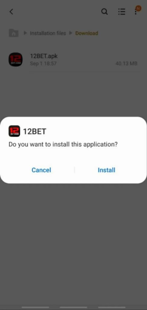 Step 4 Download 12bet App